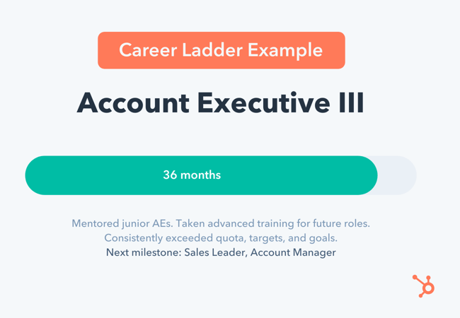 Sales Career Ladder: Account Executive III