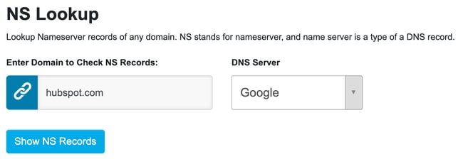 the interface of a dns checker tool to find a nameserver