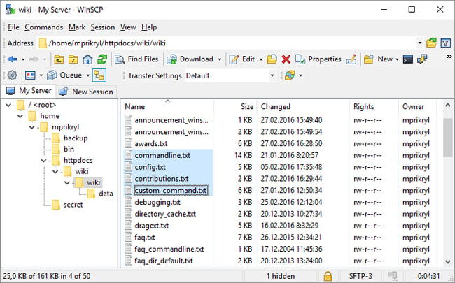 interface for the ftp client winscp