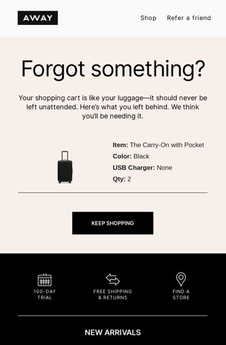 abandoned cart email example