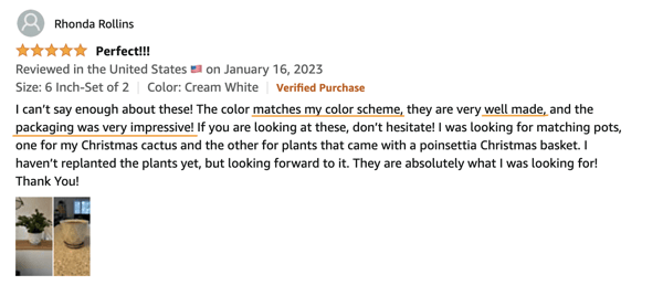 amazon marketing, product review of a plant pot