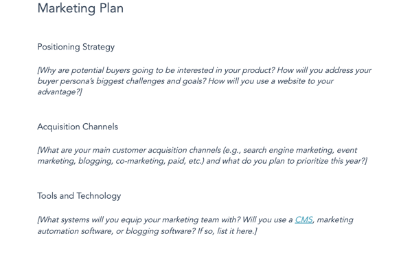 Annual business plan template, marketing plan.