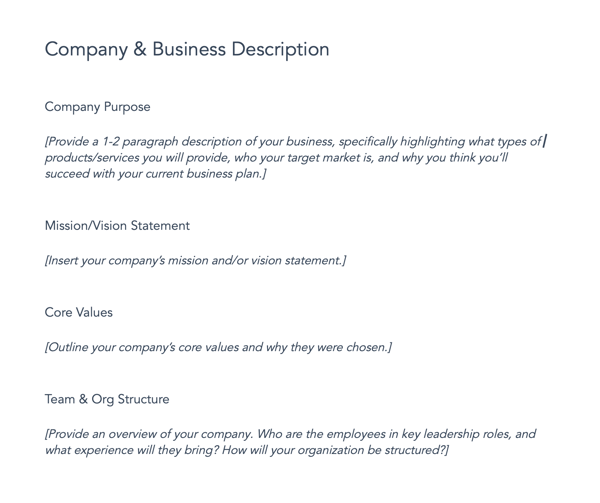 Annual business plan template, company and business description