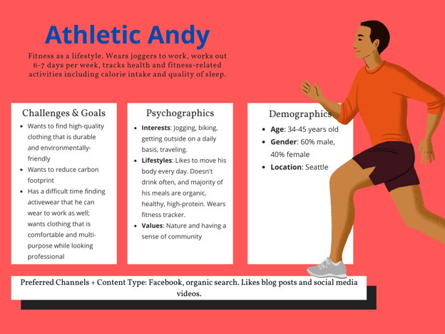 an audience profile example for a B2C advertising campaign.