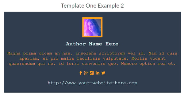 customizable wordpress author bio plugin template
