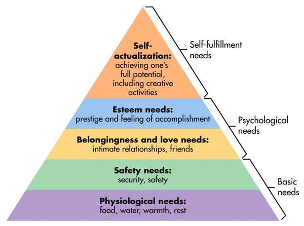 customer behavior model hierarchy of basic needs and learned needs diagram