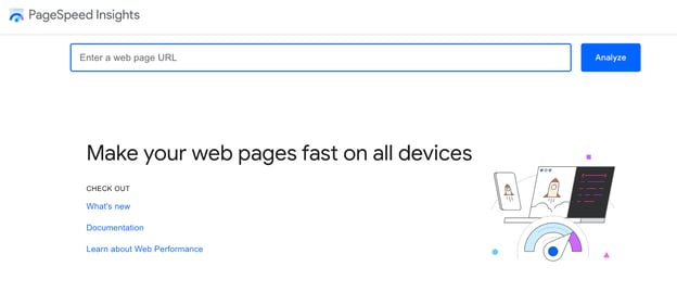 Image of Google PageSpeed Insights interface