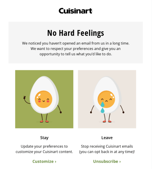 best email marketing campaign examples: cuisinart