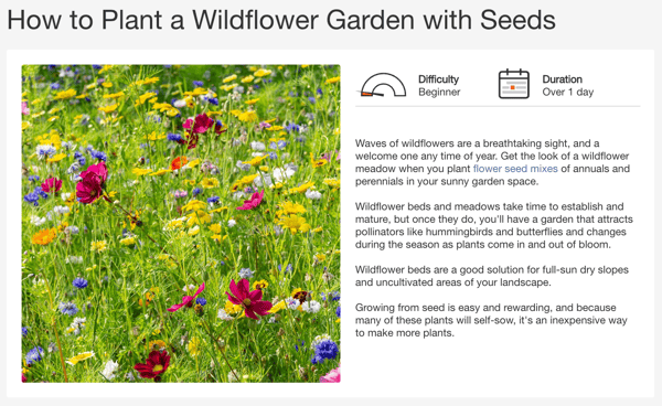 Empathy in marketing example: The Home Depot offers a beginner’s guide to planting a wildflower garden on its website which showcases empathetic marketing in action.