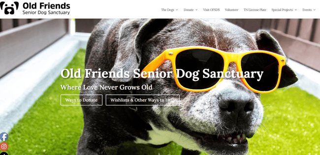 Weebly website example, Old Friends Senior Dog Sanctuary