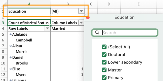 how to create a pivot table in excel: filter