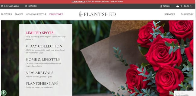 Best florist websites — design example from Plantshed.
