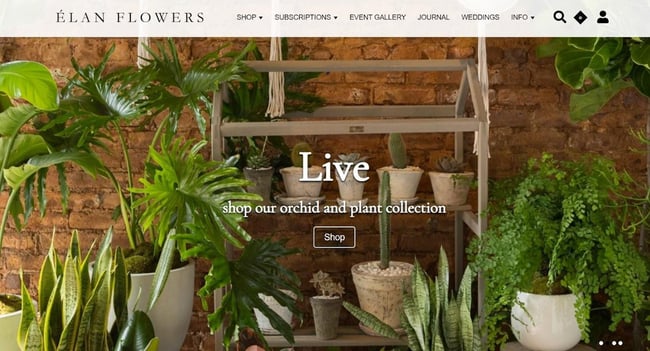 Best florist websites — design example from Elan Flowers.