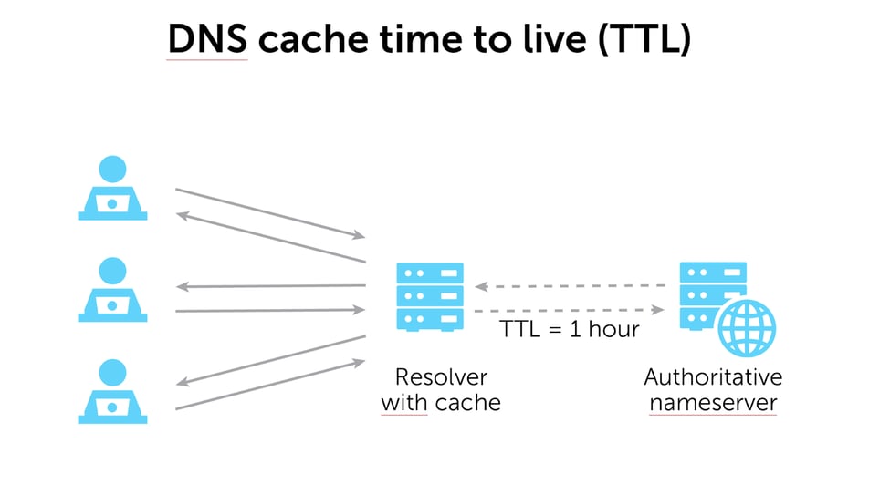 Flush DNS: What It Is & How to Easily Clear DNS Cache