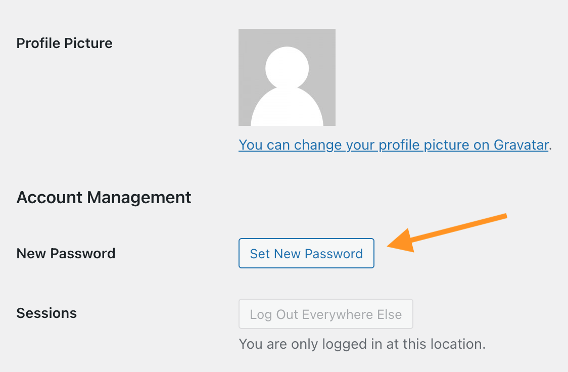 How to Change Your WordPress Password: 6 Methods
