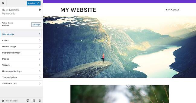 How to choose a WordPress theme, picture of the customization bar of a website