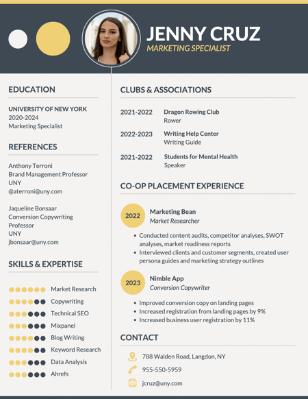 What is an Infographic Resume? Examples and Templates