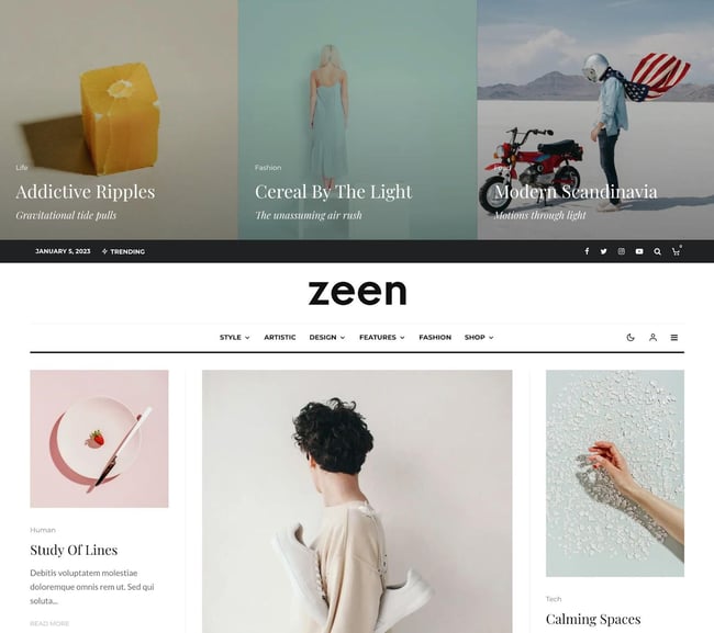 magazine WordPress themes, Zeen