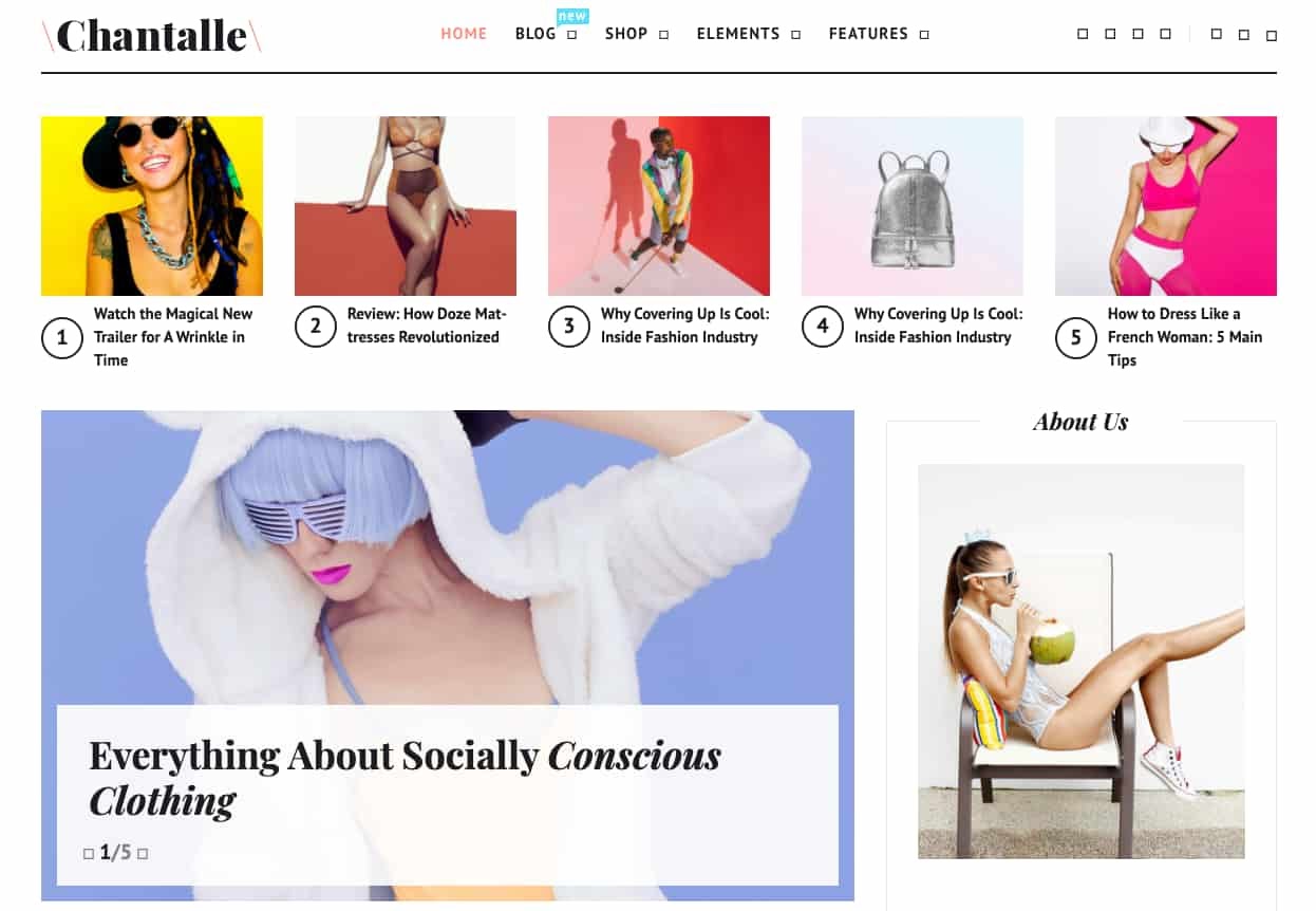 product page for the modern wordpress theme Chantalle