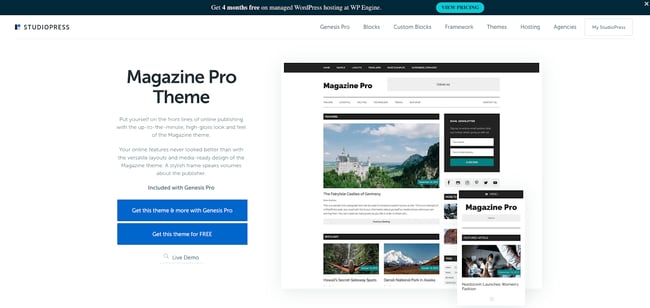 Newsletter WordPress themes, get the MagazinePro WordPress theme to start your website and connect your newsletter