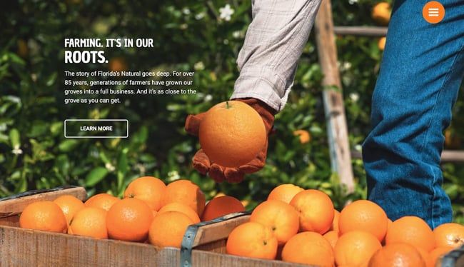 homepage of the orange website florida's natural