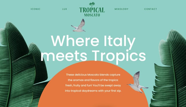 homepage of the orange website tropical moscato