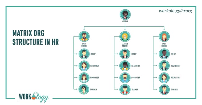 matrix organizational structure example: hr team