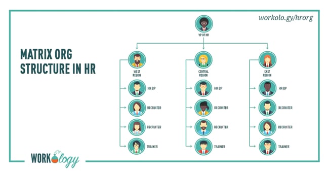  hr team