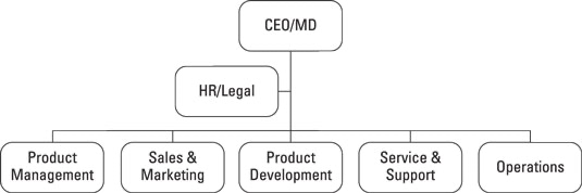 process based organizational structure example: product org