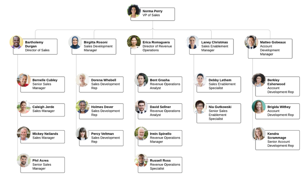 9 Types of Organizational Structure Every Company Should Consider