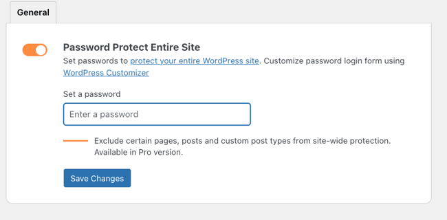 password protect wordpress: ppwp plugin options