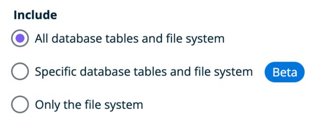 Staging website in WordPress CMS: WP Engine copy database table and file system specific database tables and file system file system only