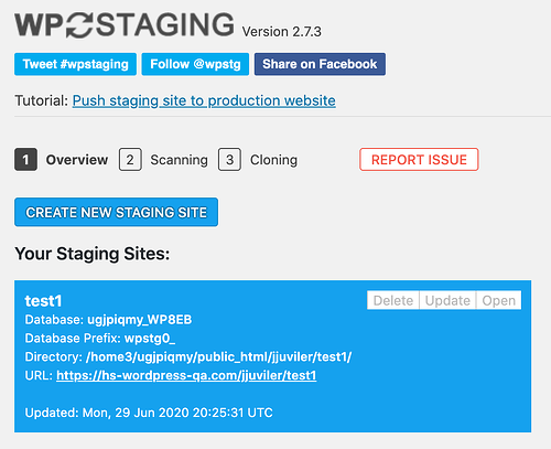 Staging website in WordPress CMS: the main menu in the WP Staging WordPress plugin