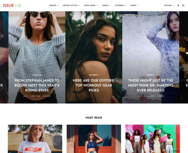 best wordpress fashion themes, the issue