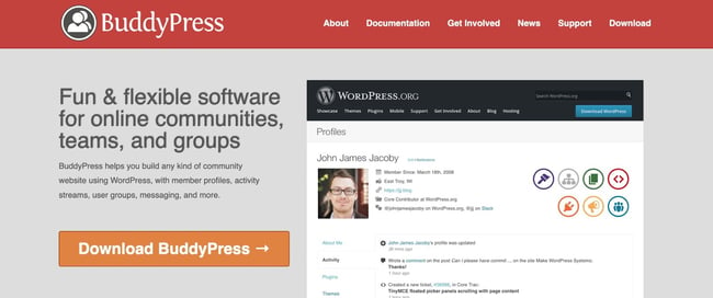download page for the wordpress project management plugin buddypress