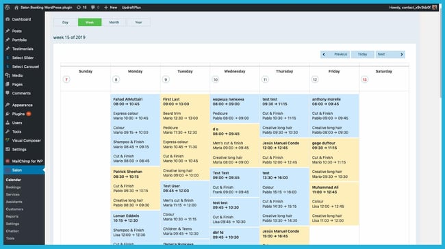 wordpress timetable plugin: salon booking system demo