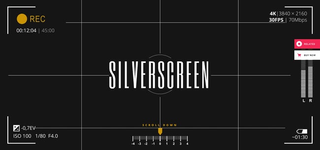 wordpress video themes 2022, Silverscreen