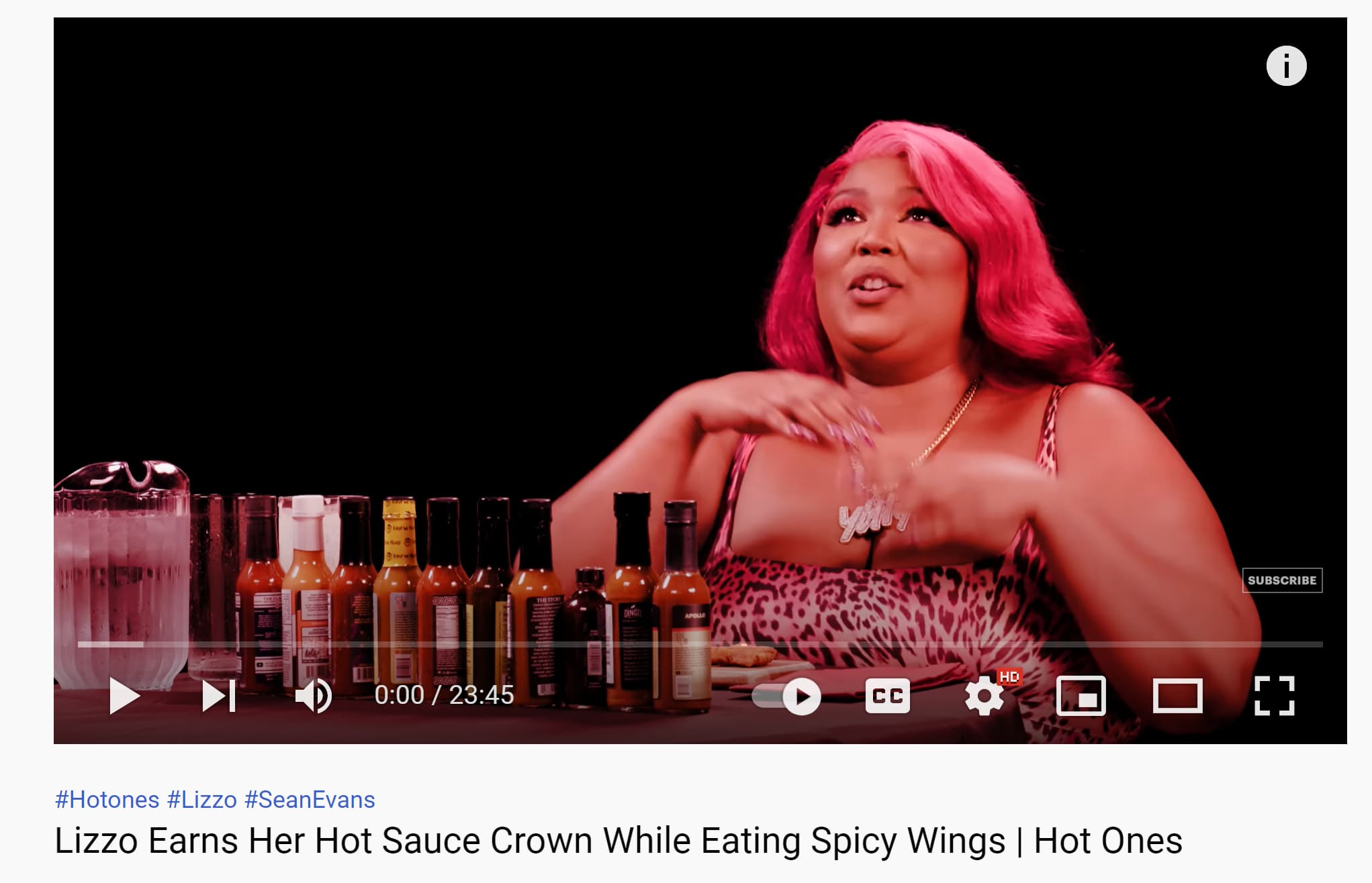 YouTube hashtags are used to promote this YouTube video about the singer Lizzo