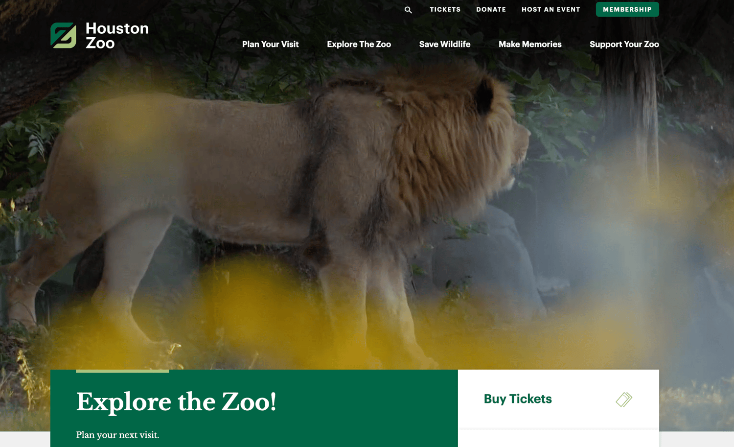 Houston Zoo WordPress website example