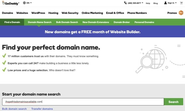GoDaddy's home page, a site where you can register your domain name.