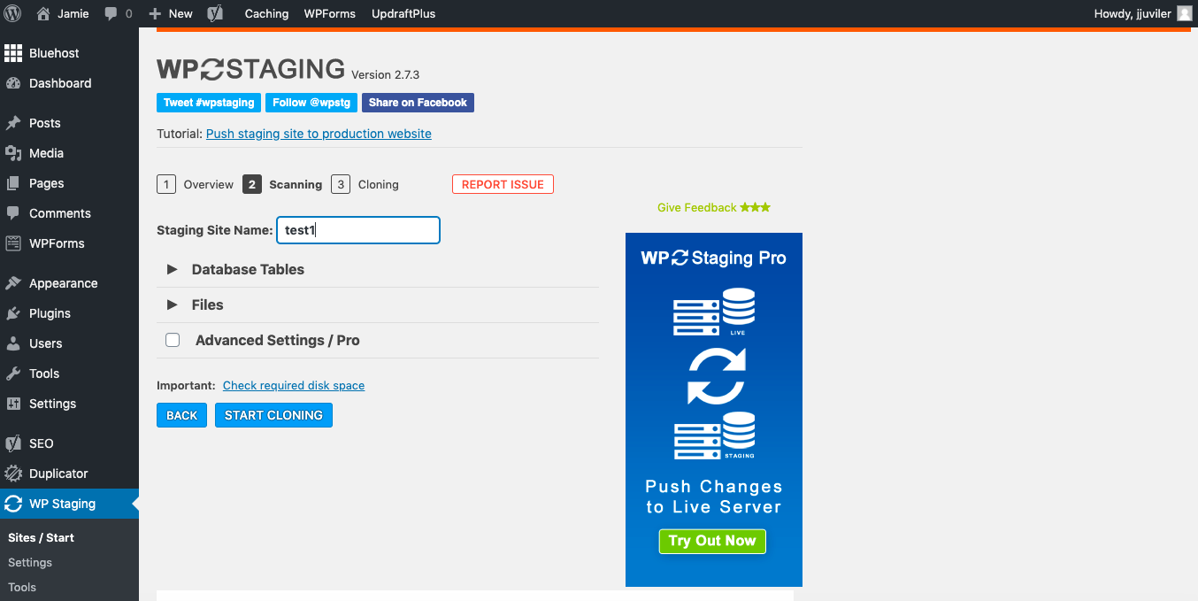 Entering staging site name in WP Staging plugin settings
