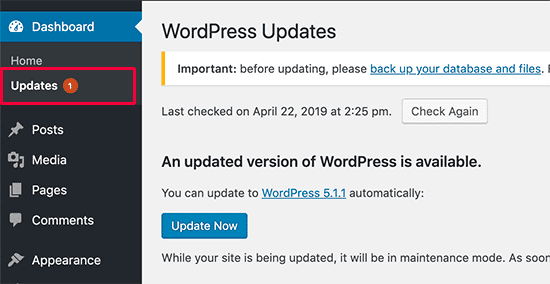 screenshot of the WordPress security updates page in the WordPress dashboard