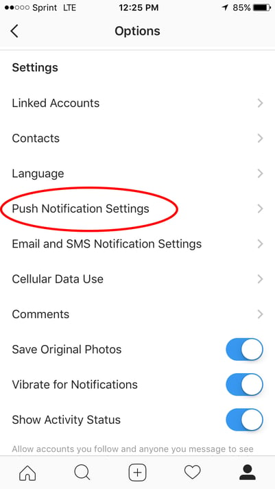 گزینه تنظیمات اطلاع رسانی فشار در اینستاگرام