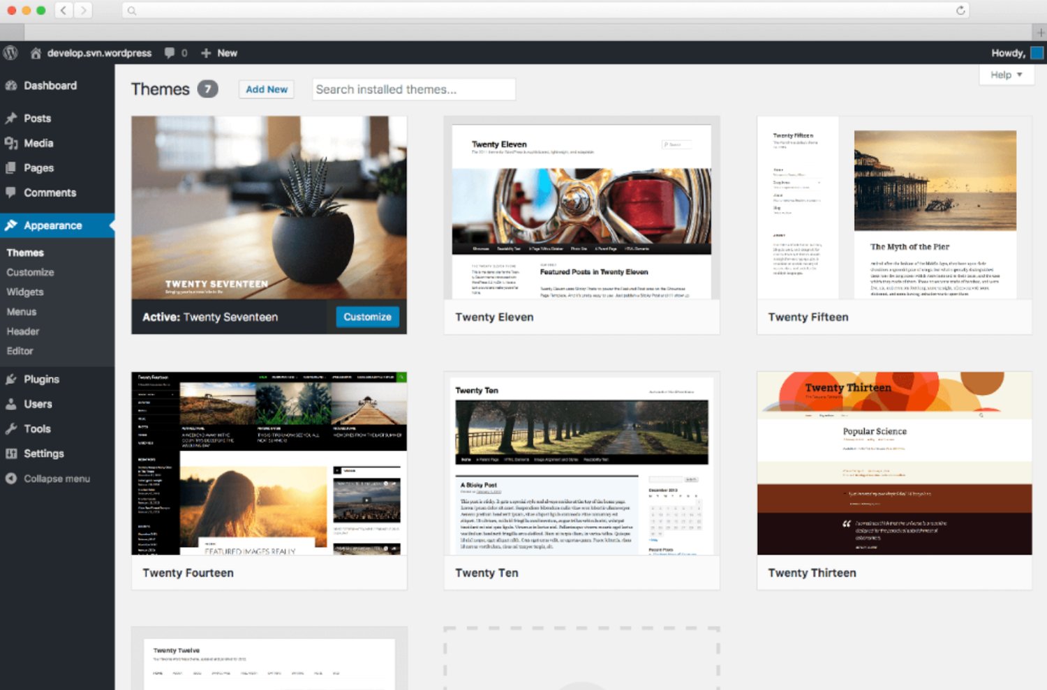 select theme for WordPress website