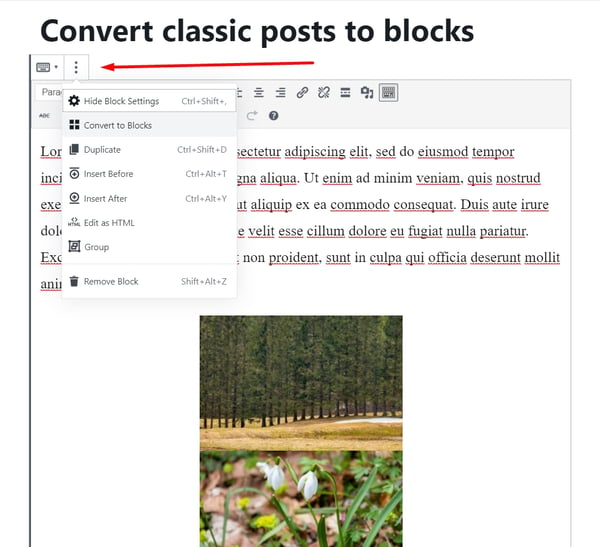 image showing how to convert classic editor posts to block posts in wordpress