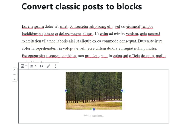block editor blog post in wordpress