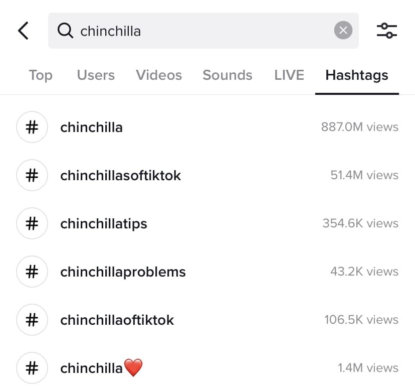 Best TikTok hashtags for chinchillas
