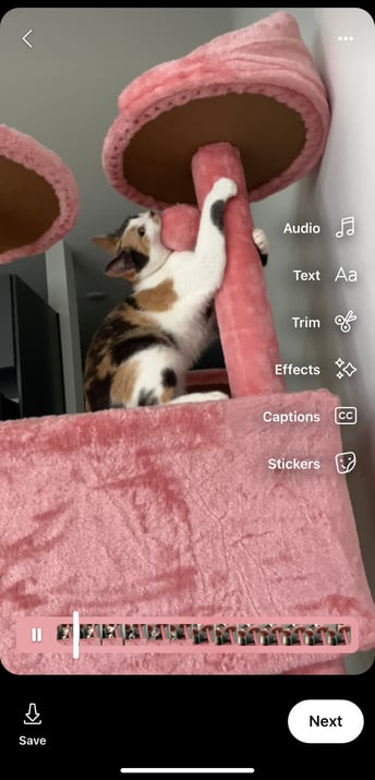 ویدیوی از پیش ضبط شده یک گربه به عنوان ویرایشی که برای ویدیوهای از پیش ضبط شده نمایش داده می شود نشان داده می شود.