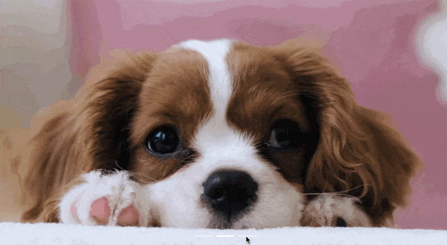 Image carousel built with Bootstrap CSS featuring three pictures of puppies