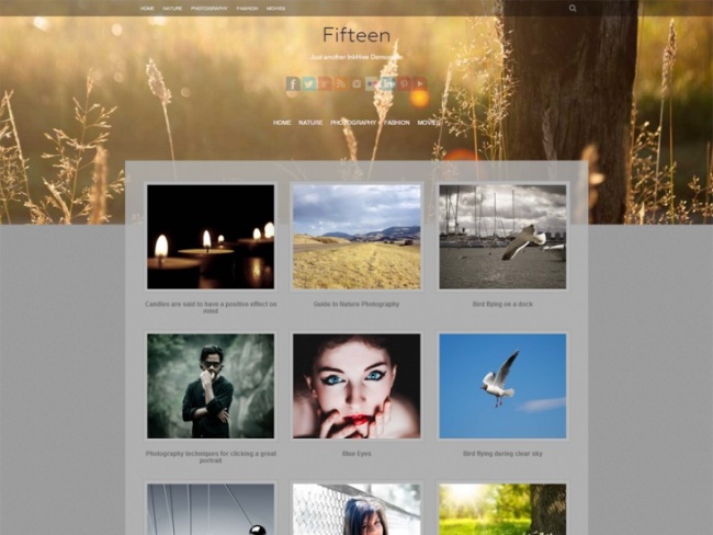Fifteen WordPress theme for photographers